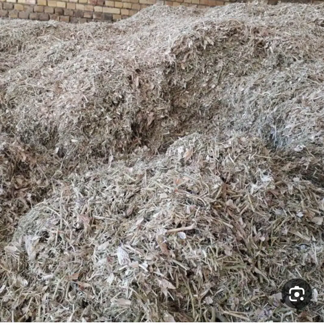 کاه|حیوانات مزرعه|ابهر, |دیوار