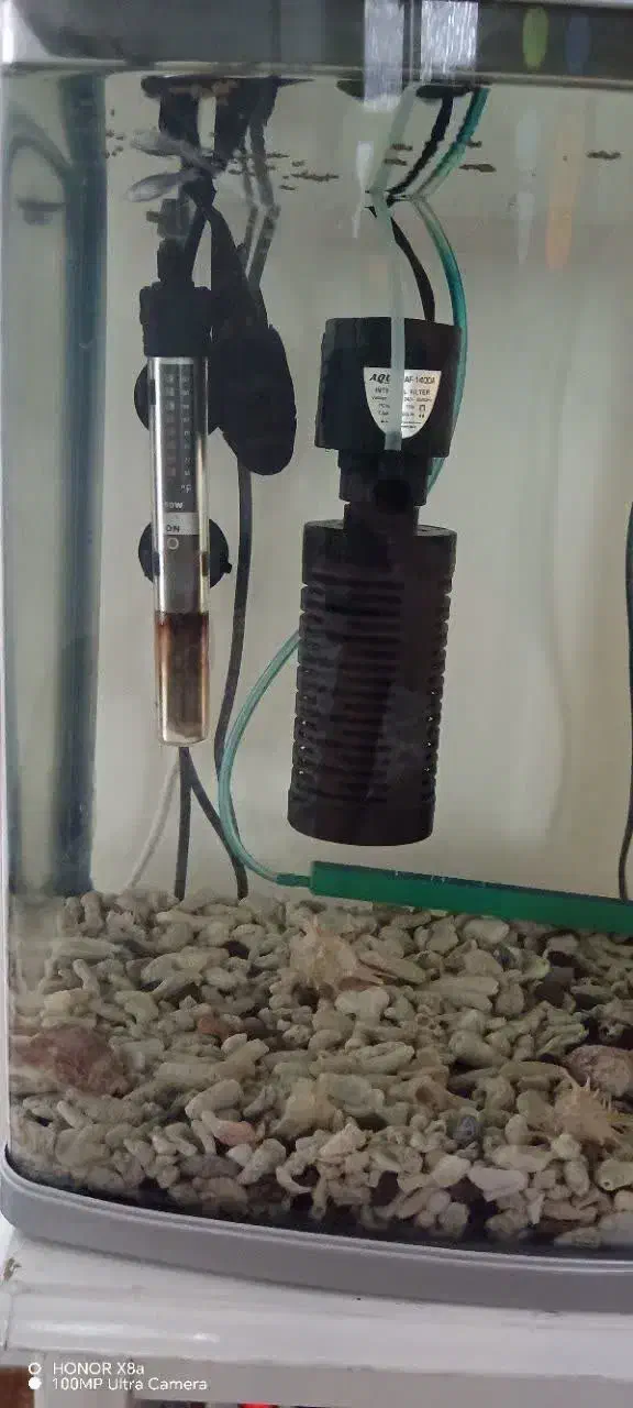 آکواریوم برند ماهیران|ماهی|تهران, نظامآباد|دیوار