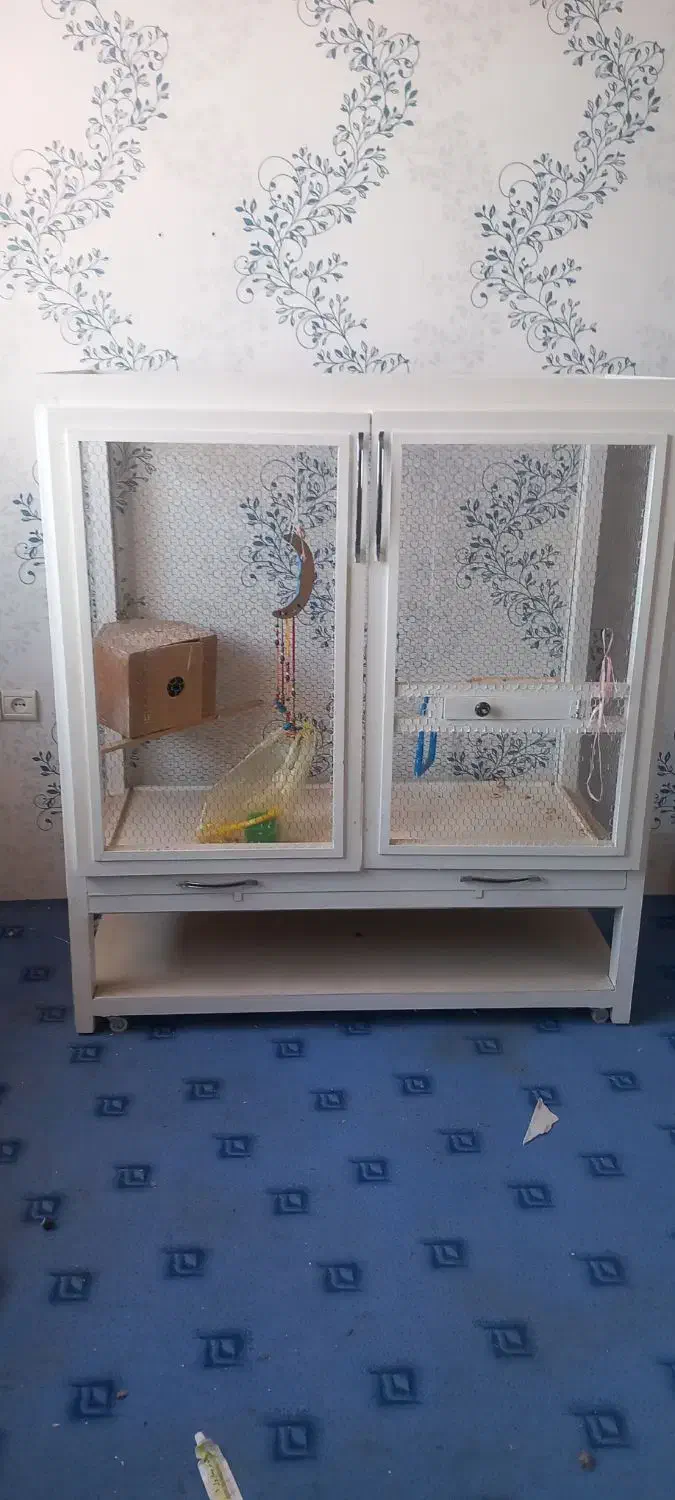 قفس پرنده|لوازم جانبی حیوانات|بندر انزلی, متروپل|دیوار