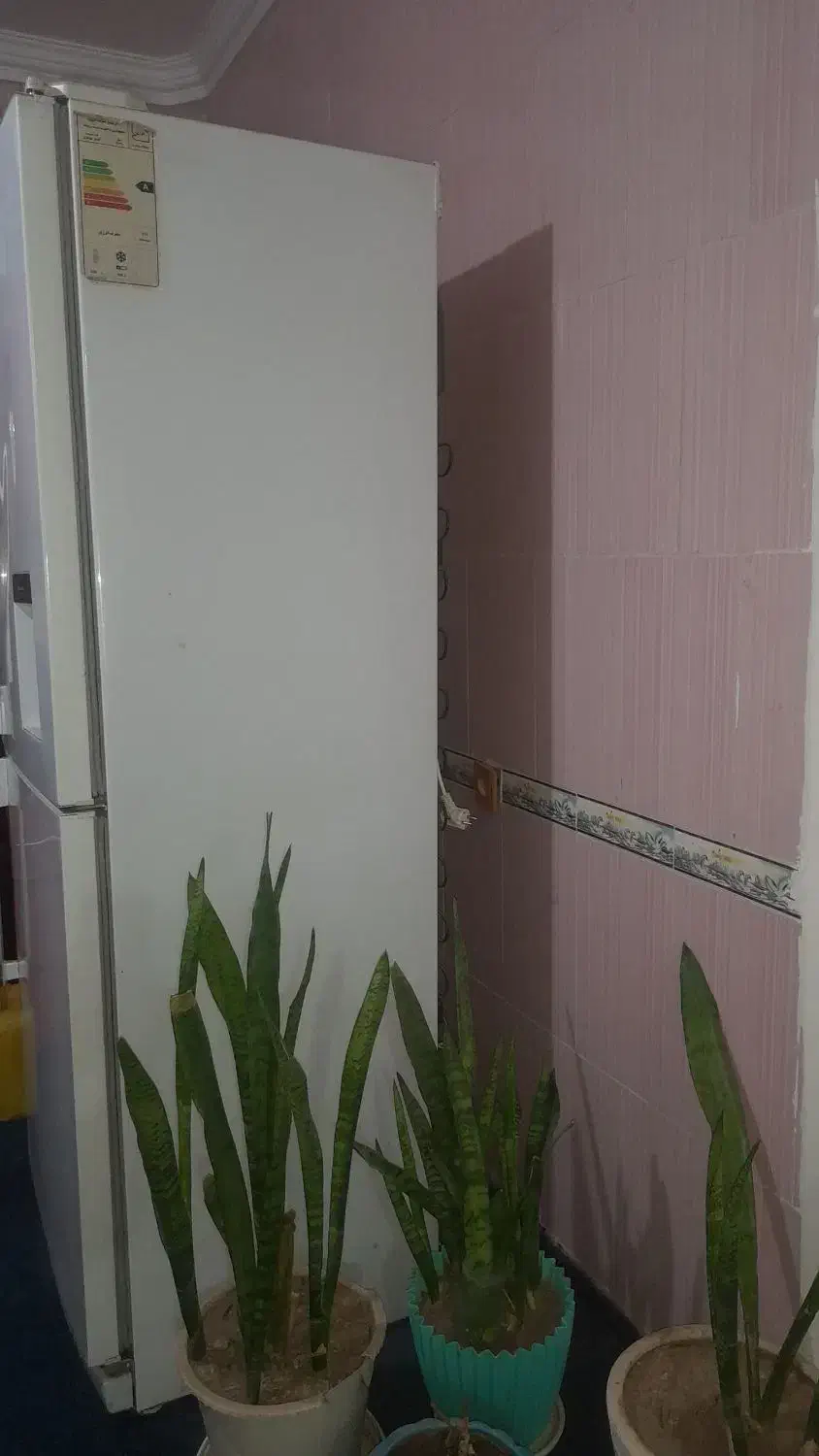 یخچال فریزر|یخچال و فریزر|برازجان, |دیوار