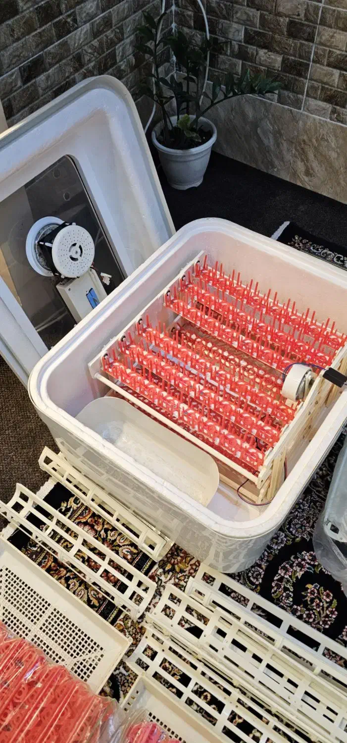 دستگاه جوجه کشی خانگی|ماشین‌آلات صنعتی|اسالم, |دیوار