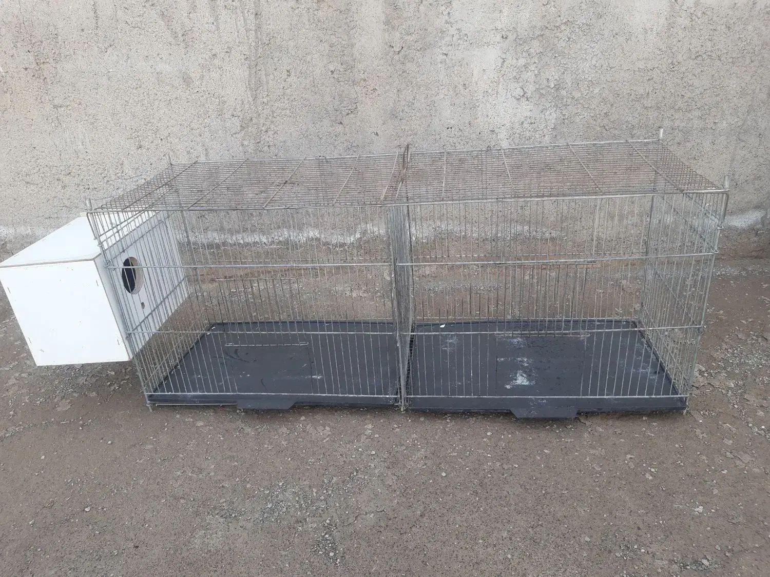 قفس|لوازم جانبی حیوانات|رفسنجان, |دیوار