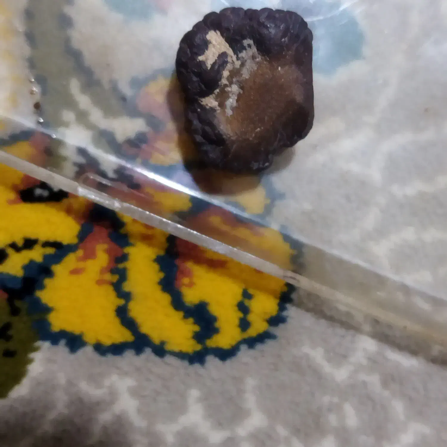 شهاب سنگ|کلکسیون و سرگرمی|اسفراین, |دیوار