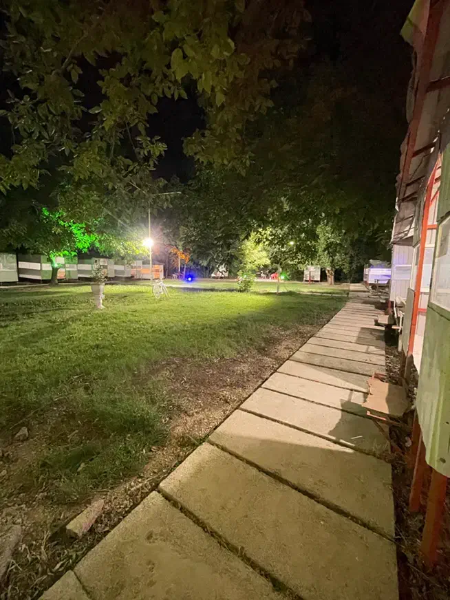 کار در کافه رستوران(ایوان)|استخدام خدمات فروشگاه و رستوران|ایلام, |دیوار