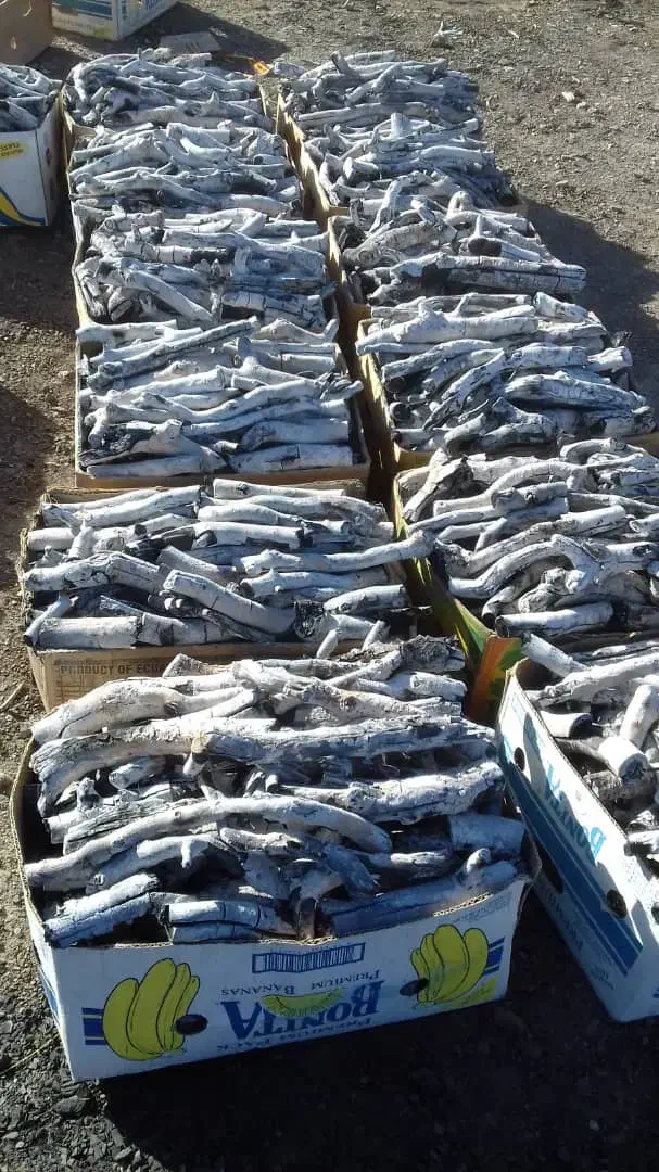 ذغال پسته قلم|عمده‌فروشی|اصفهان, فروردین|دیوار