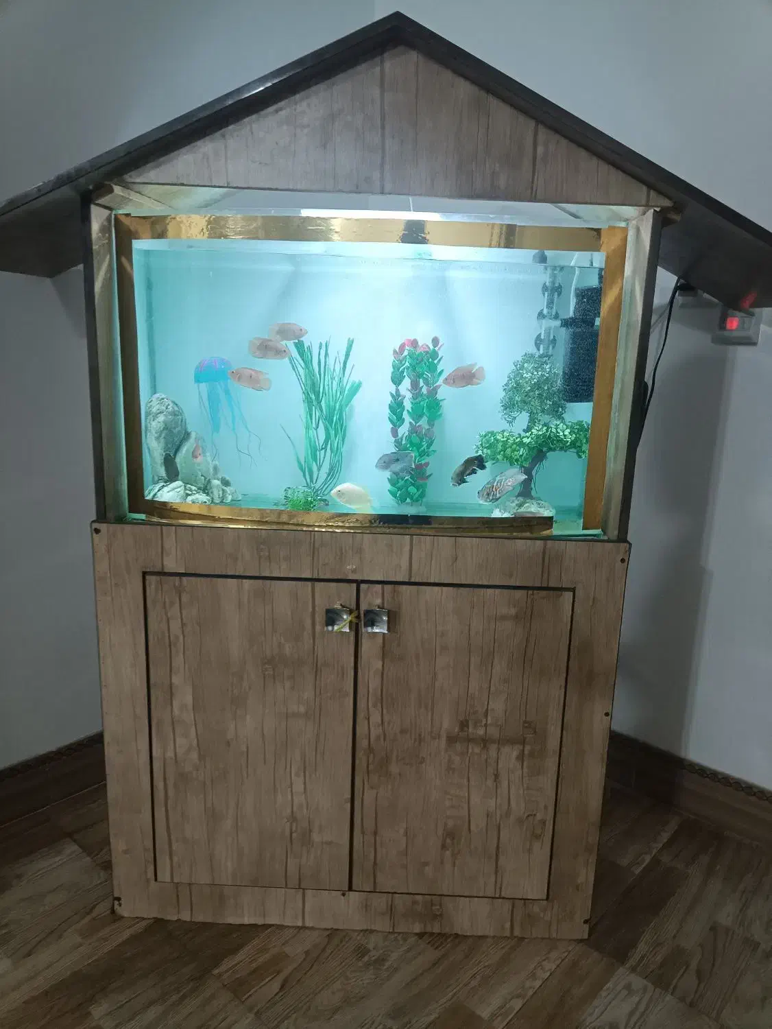 اکواریوم تمیز و سالم بخاطر کمبود جا|ماهی|ابریشم, |دیوار