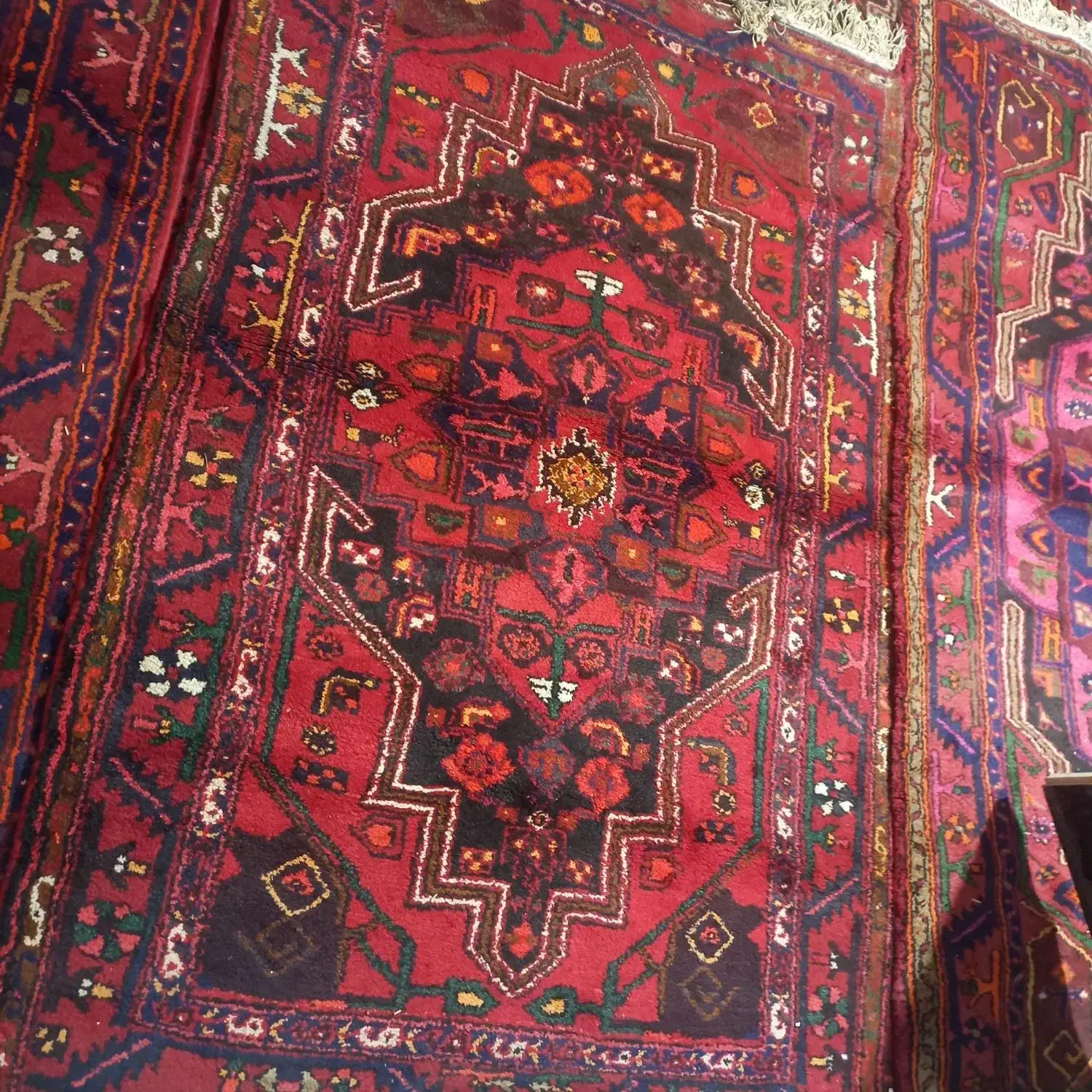 فروش قالی دستی|فرش|قیدار, |دیوار