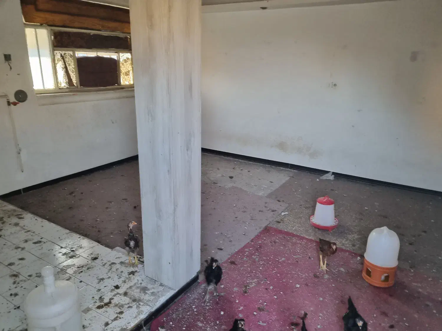 خانه دوطبقه کلنگی سنددارد بهترین نقطه فرهنگیان ۱|فروش خانه و ویلا|اهواز, کوی فرهنگیان ۱|دیوار