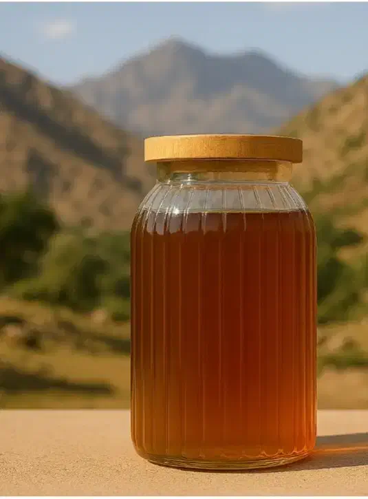 عسل درجه یک آزمایش شده|خوردنی و آشامیدنی|قرچک, میرزائی جنوبی|دیوار