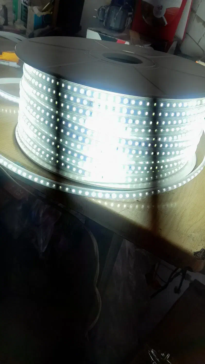 ریسه شیلنگی|ریسه و چراغ تزئینی|اهواز, کمپلو جنوبی|دیوار