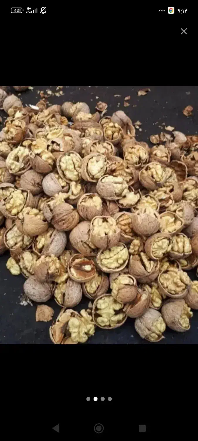 کشمش وگردو|خوردنی و آشامیدنی|باغستان, |دیوار