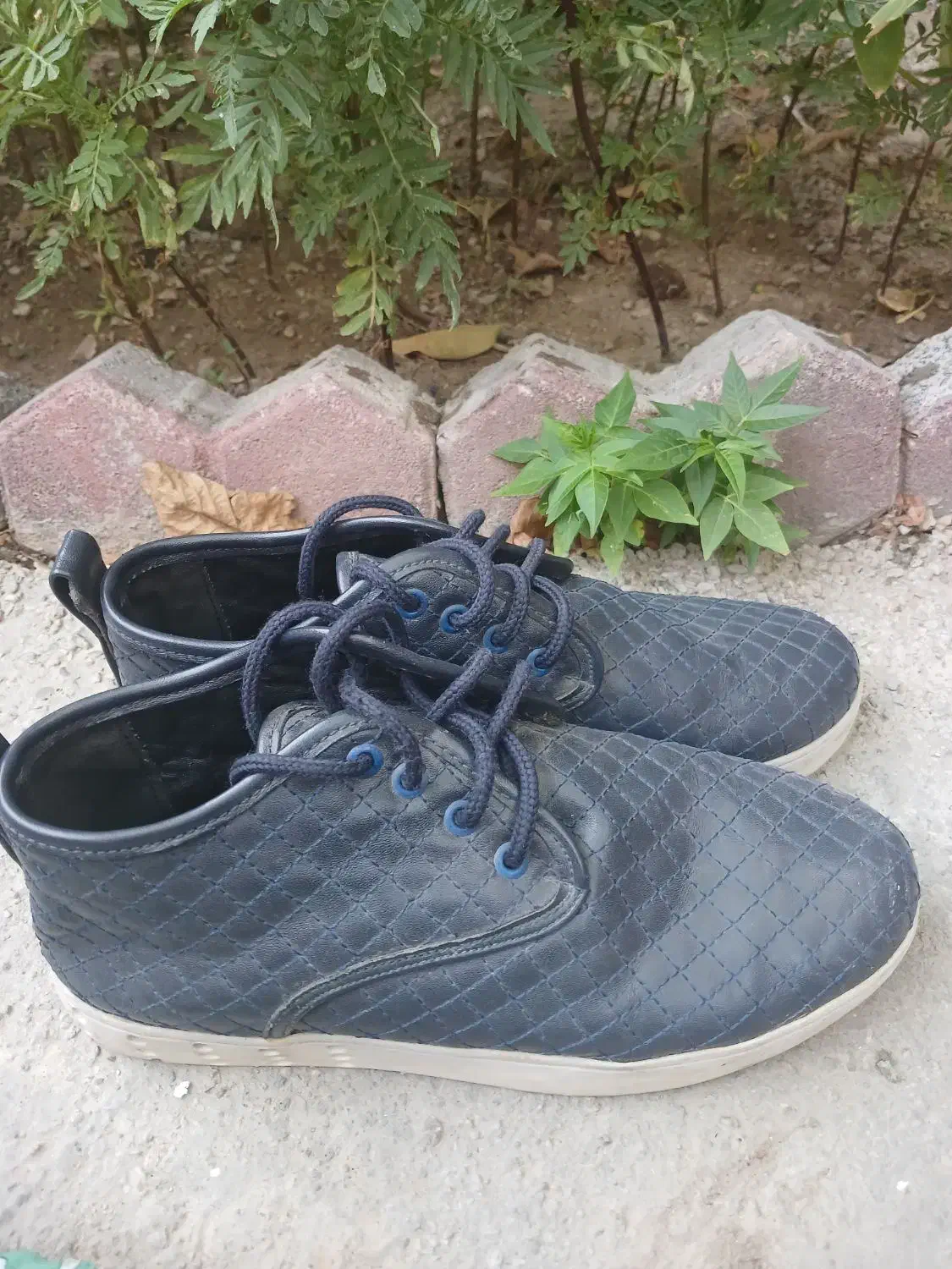 کفش مجلسی|کیف، کفش، کمربند|ارومیه, |دیوار