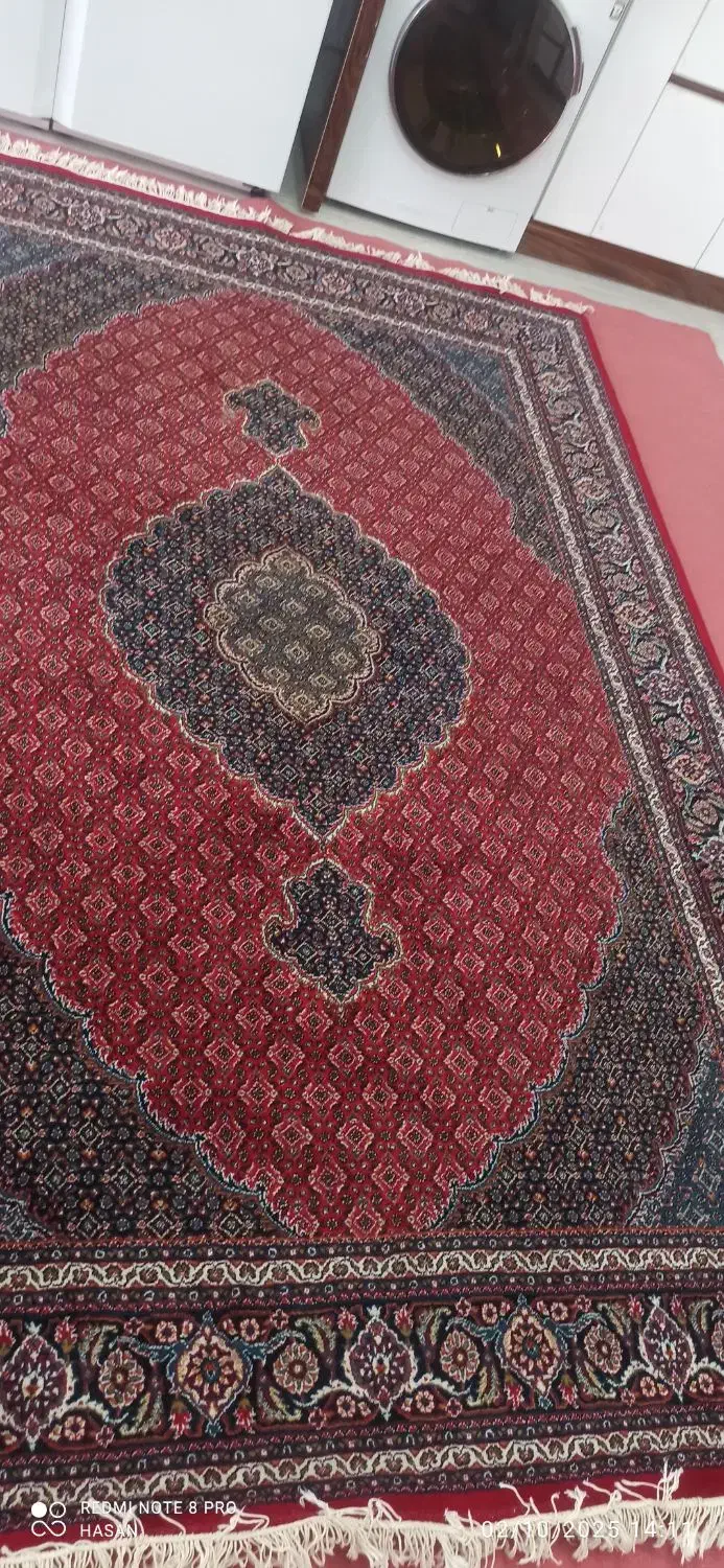 قالی ۶ متری تمییز|فرش|زاهدان, |دیوار