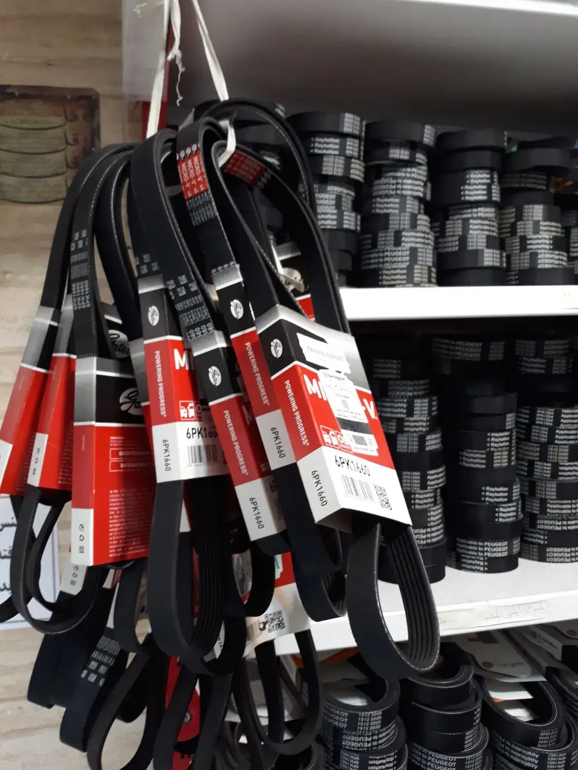 انواع تسمه دینام و کولر وتایم خودرو برندهای مختلف|قطعات یدکی و لوازم جانبی|تهران, سهروردی|دیوار