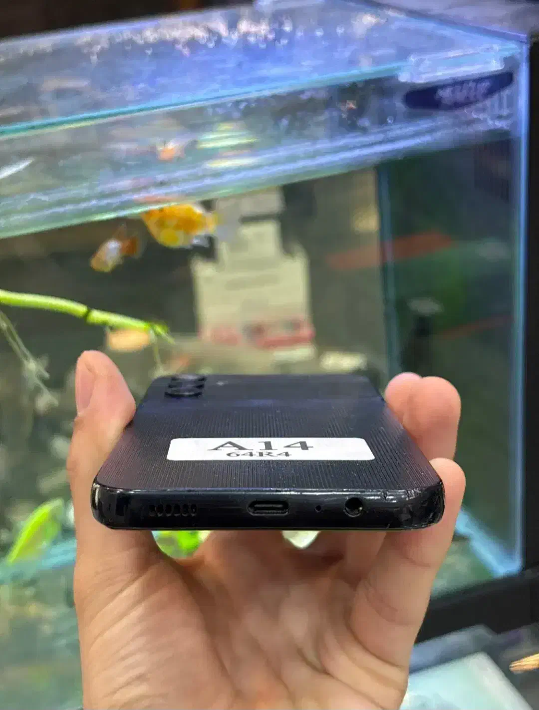 Galaxy A14 Samsung|موبایل|بروجن, |دیوار