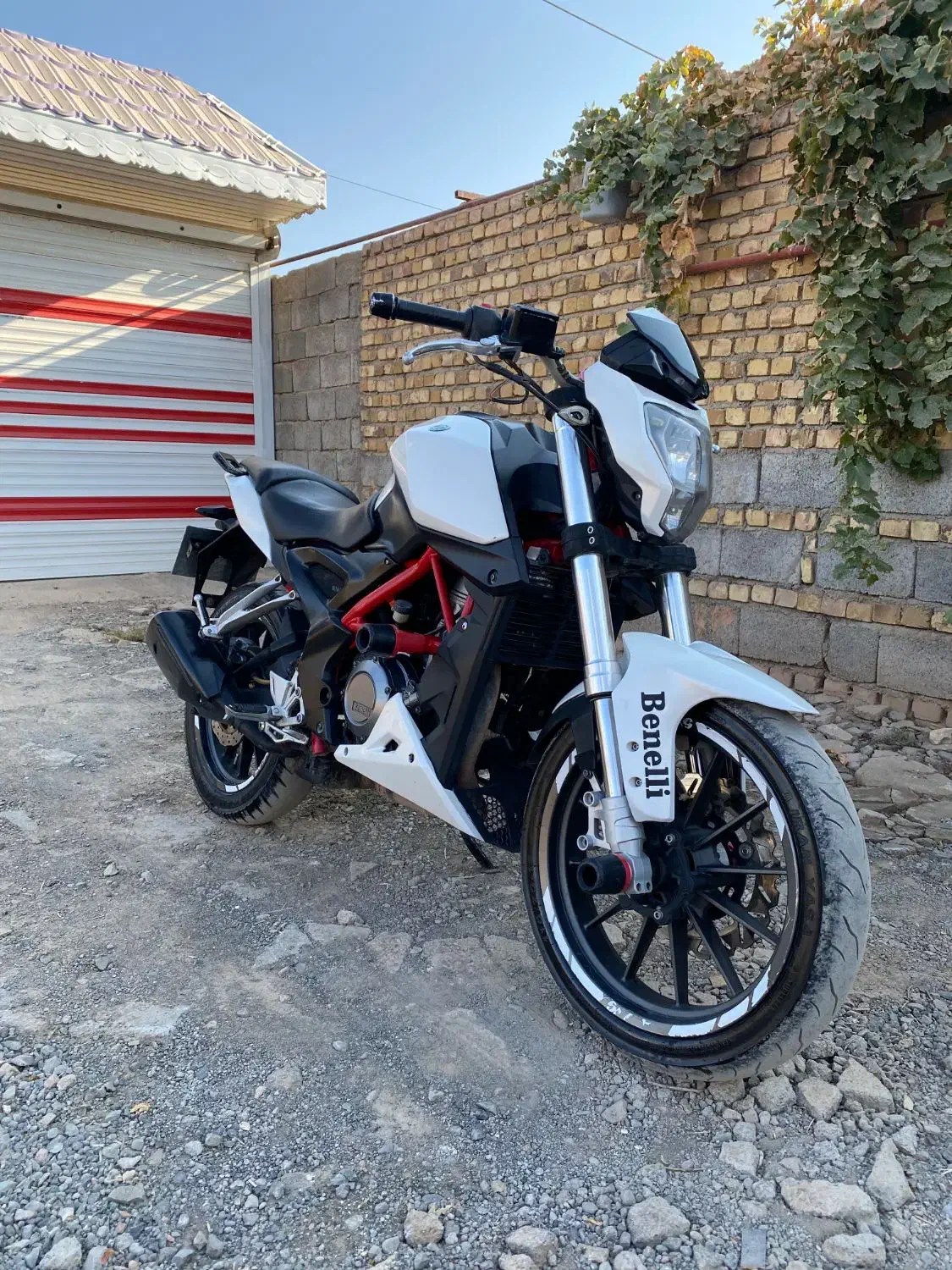 موتور بنلی ۲۵۰ مدل ۹۶مدارک کامل|موتورسیکلت|سبزوار, امیر کبیر|دیوار