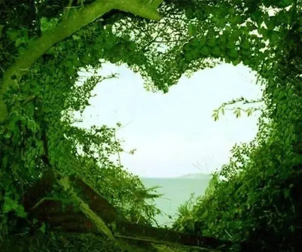 زمین روستای صدراباد|فروش زمین و ملک کلنگی|بافق, |دیوار