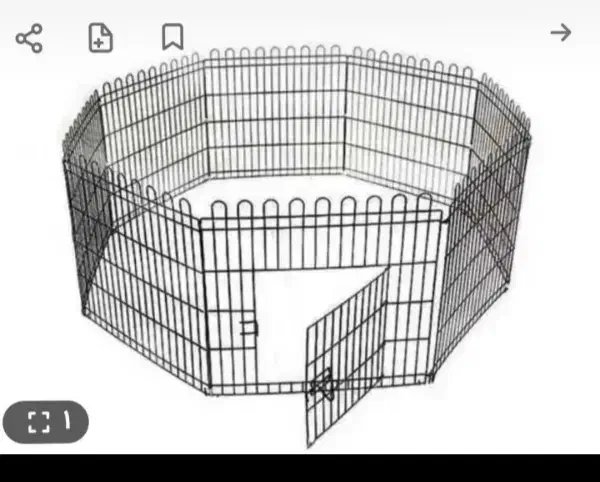لوازم سگ|لوازم جانبی حیوانات|کرمان, |دیوار