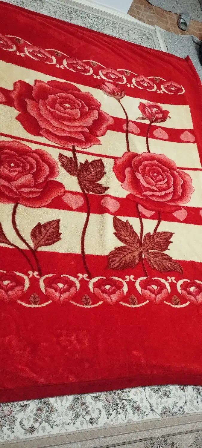 فراغت|کلکسیون و سرگرمی|مهاباد (آذربایجان غربی), |دیوار