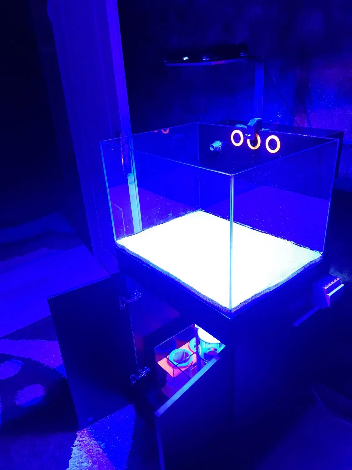 آکواریوم آب شور|ماهی|تهران, سلسبیل شمالی|دیوار