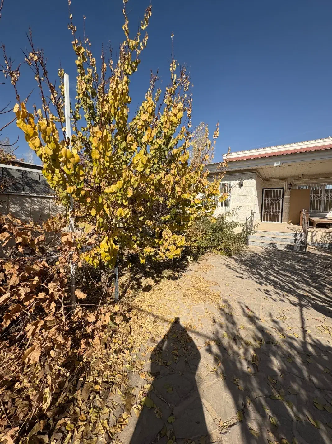 باغ ویلا ۶۰۰ متری با کنتور اختصاصی|فروش خانه و ویلا|آبسرد, |دیوار