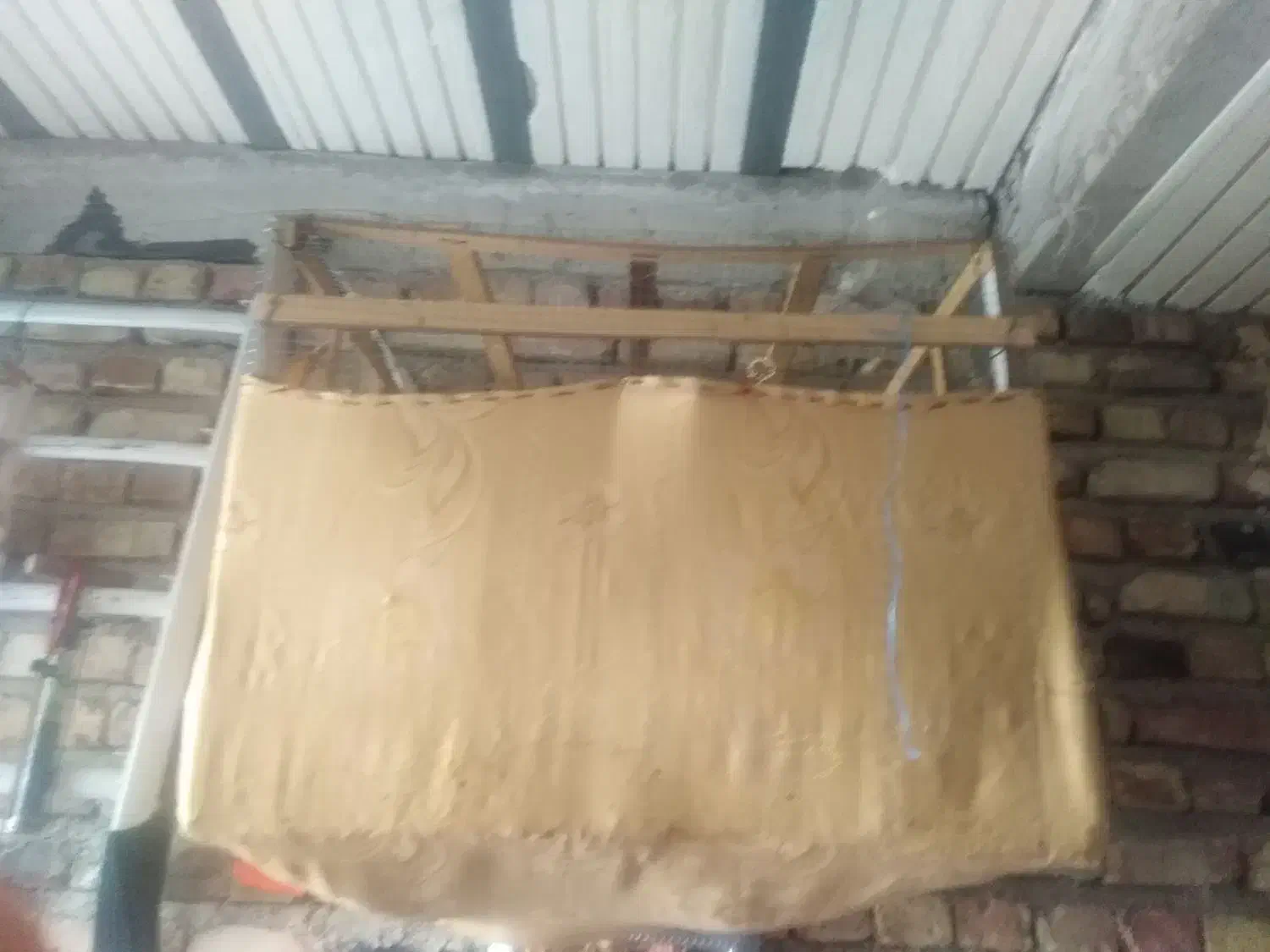 مامله ای با مرغ عشق|پرنده|ایرانشهر, |دیوار