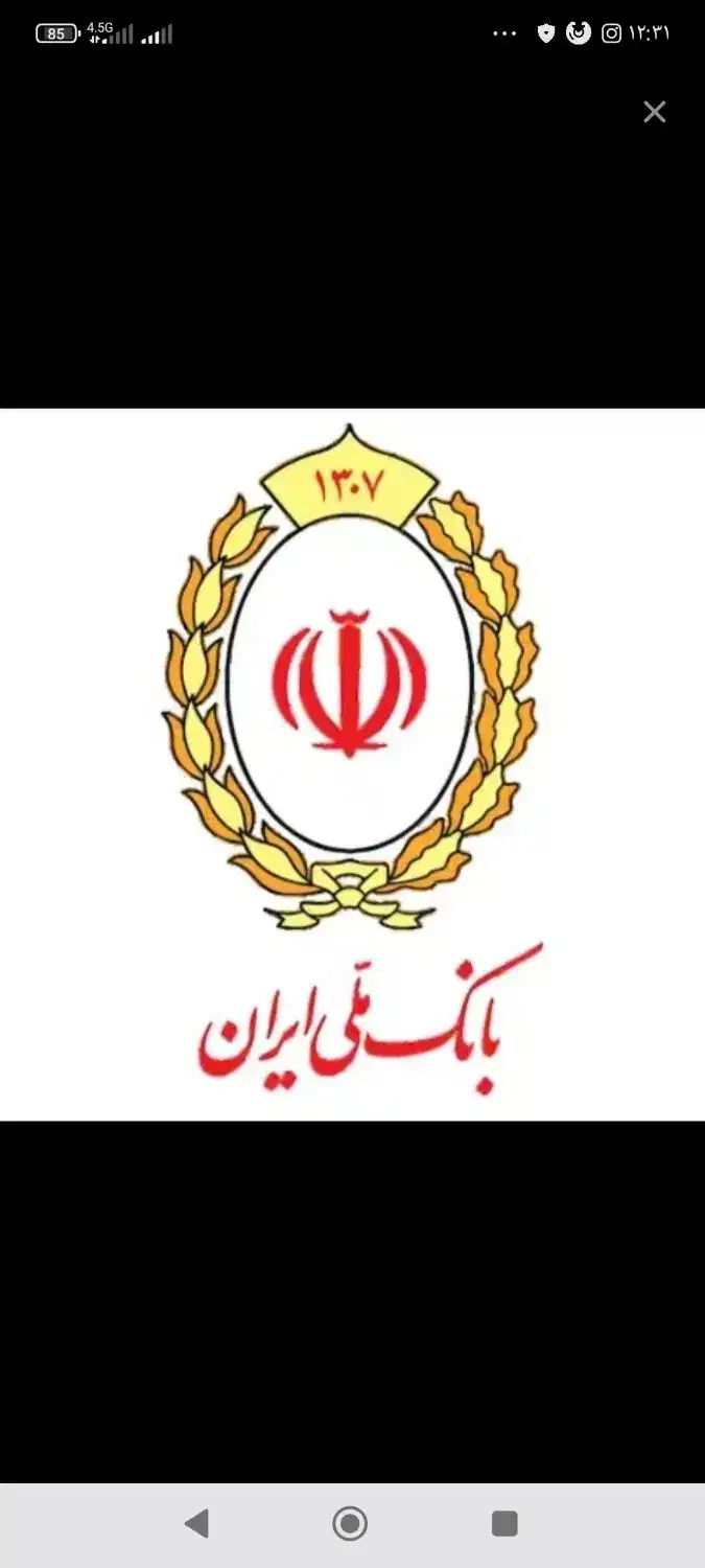 ضمانت از ساعت 8صبح تا 12شب|خدمات مالی، حسابداری، بیمه|ازنا, |دیوار