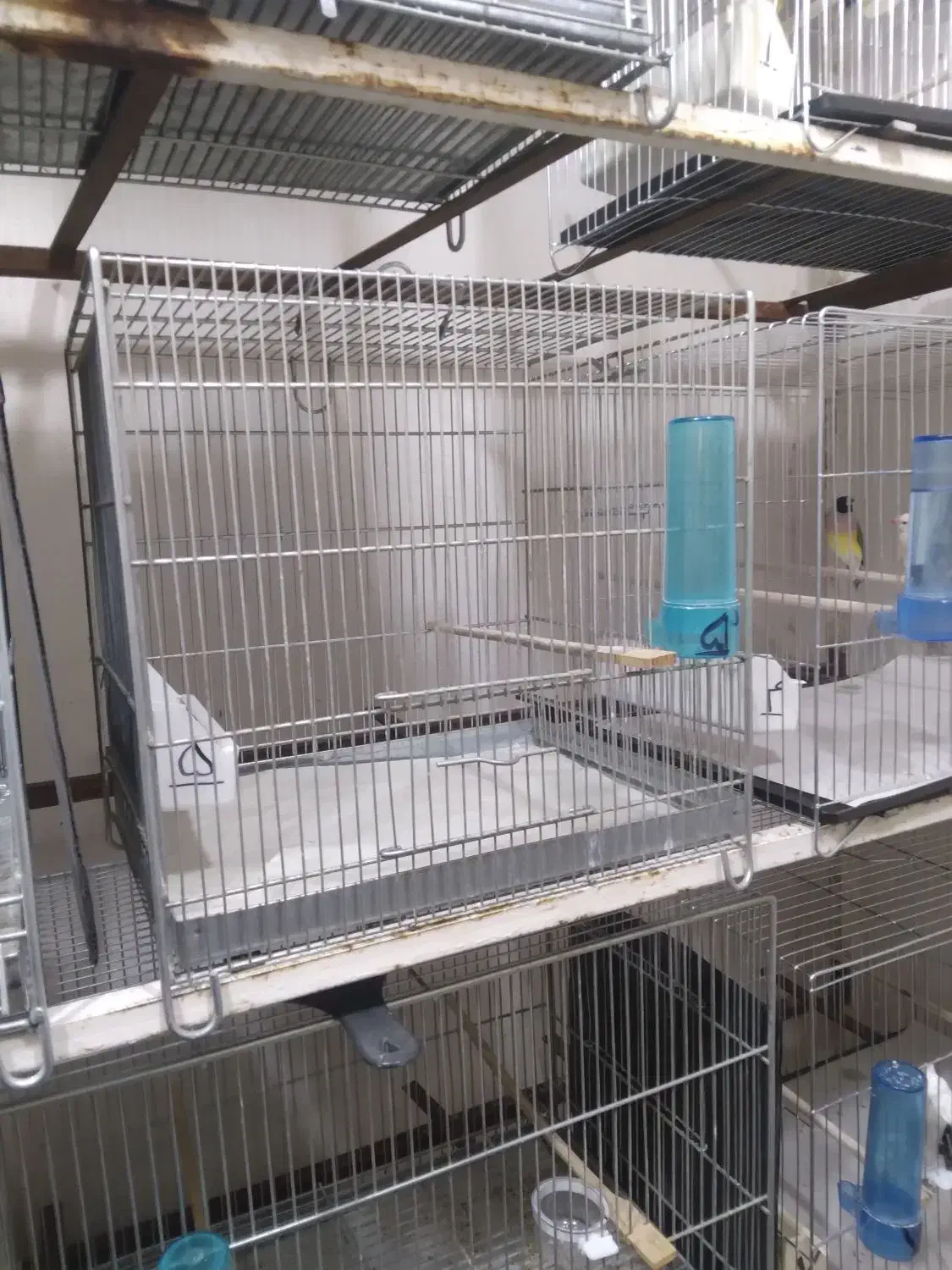 قفس مناسب سهره|لوازم جانبی حیوانات|تهران, والفجر (افسریه)|دیوار