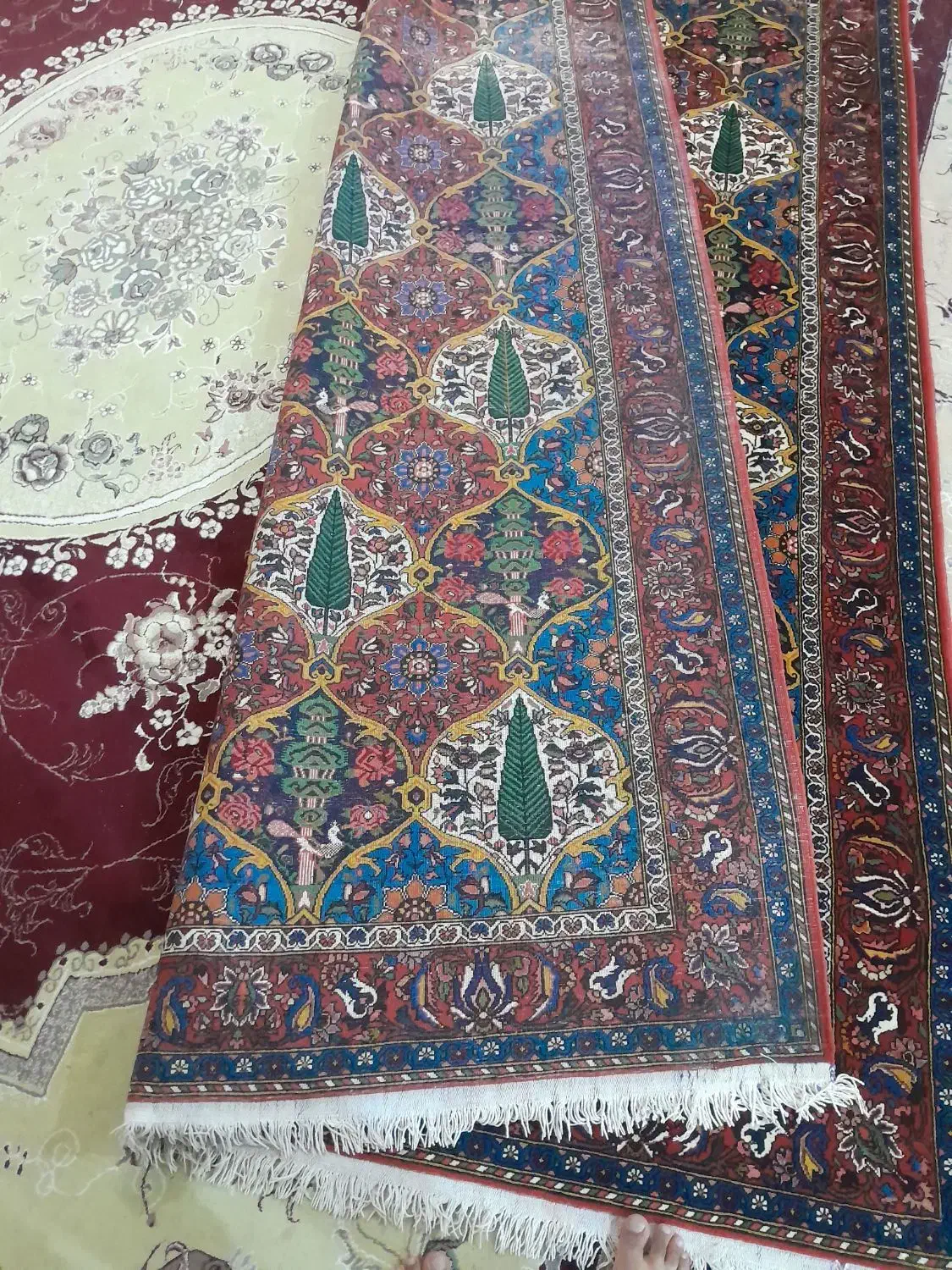 قالی دستباف چالشتر اصل|فرش|ایذه, |دیوار