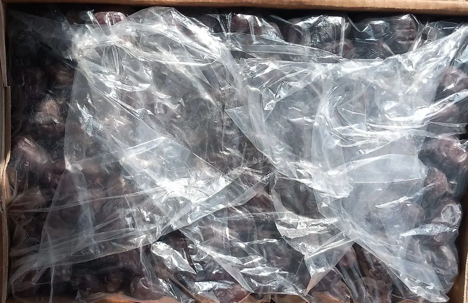 خرما مضافتی|عمدهفروشی|فلاورجان, |دیوار