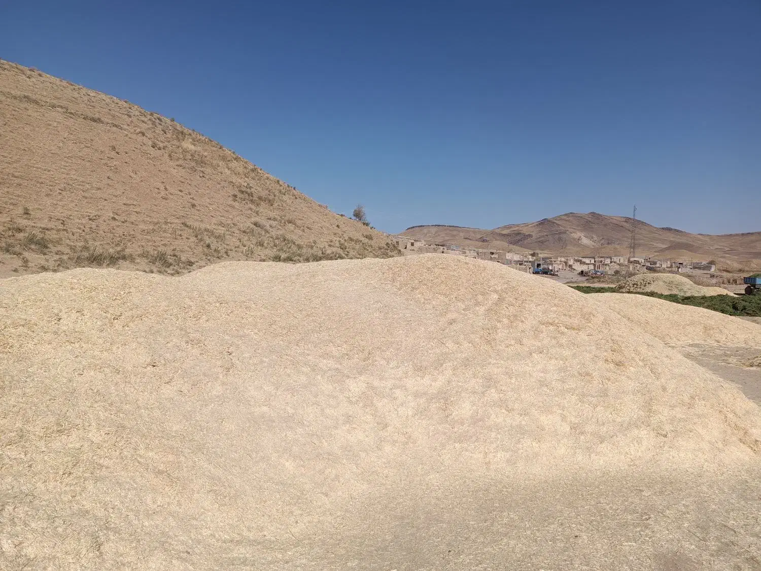 کاه گندم|عمده‌فروشی|سریش آباد, |دیوار