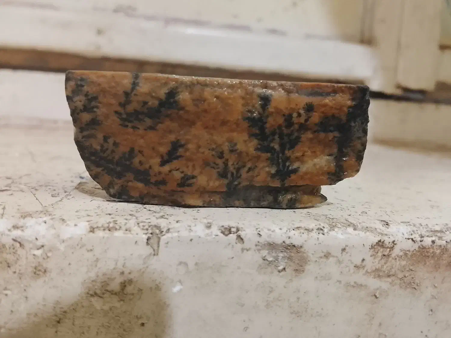 سنگ شجر 700تومان|کلکسیون اشیاء عتیقه|فسا, |دیوار