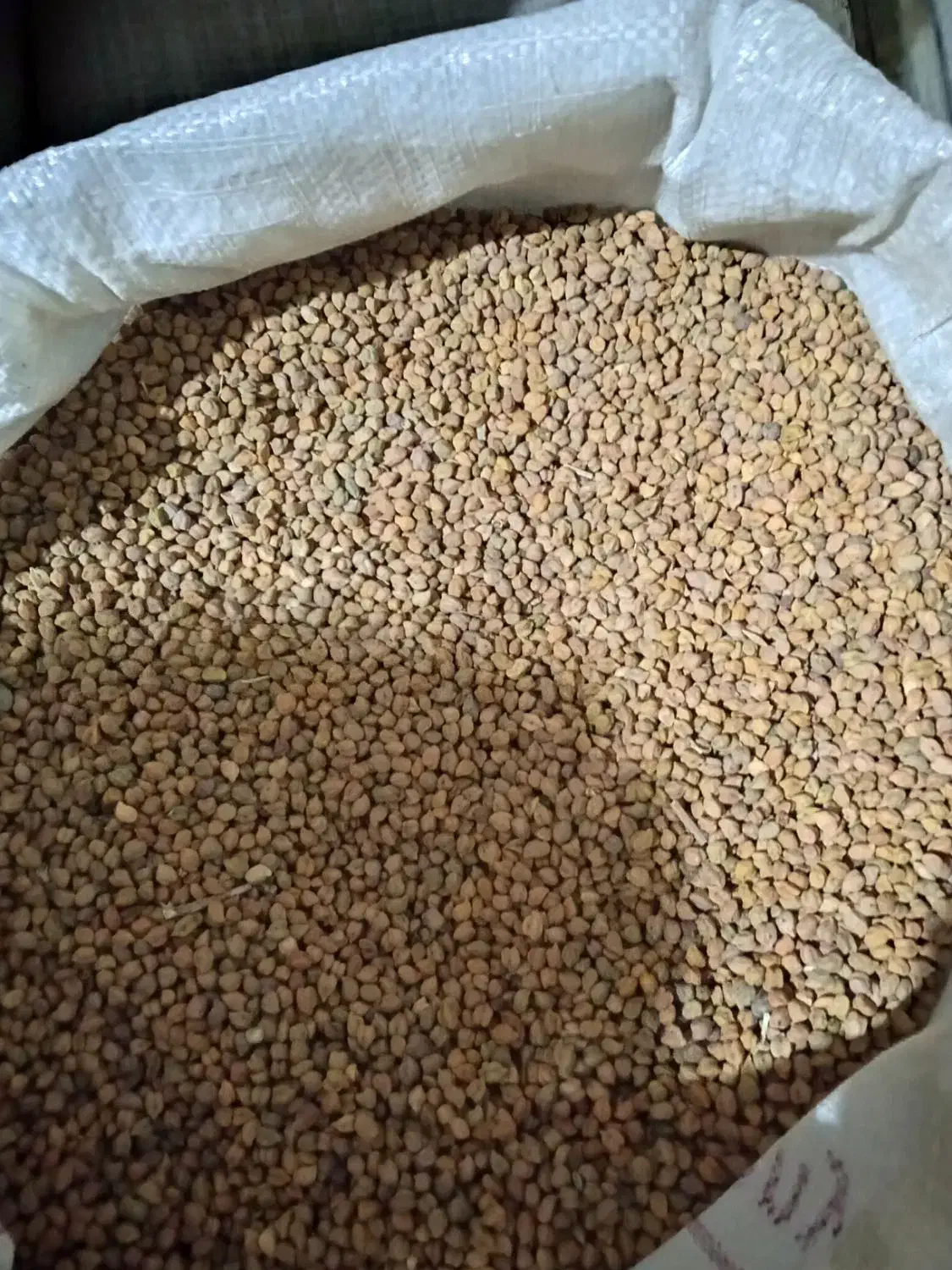 فروش نخود|خدمات باغبانی و درختکاری|بانه, |دیوار