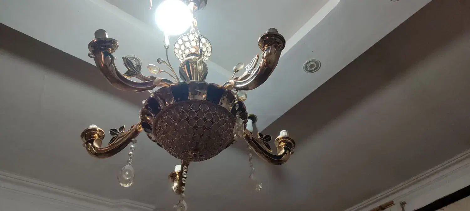 لوسترپنج شاخه مدل فرشته|لوستر و چراغ آویز|مشکین‌دشت, |دیوار