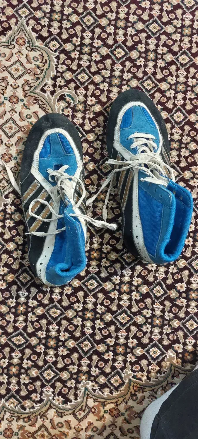 کفش کشتی|کیف، کفش، کمربند|اردبیل, |دیوار