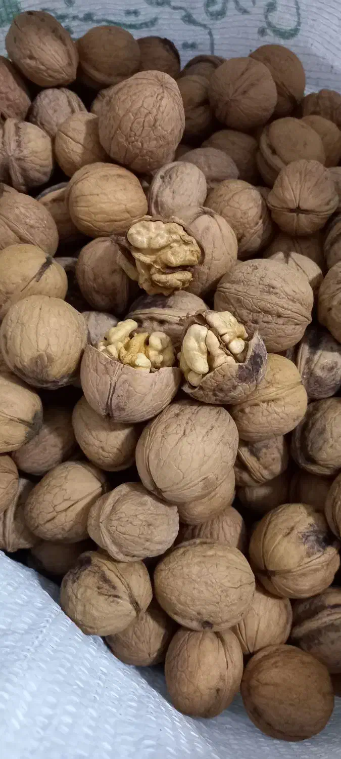 گردو خشک و پر چرب|خوردنی و آشامیدنی|پاکدشت, شهرک امام رضا|دیوار