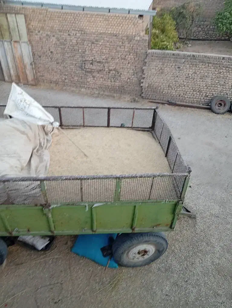 جو دیم بذری|عمده‌فروشی|سیلاخور, |دیوار