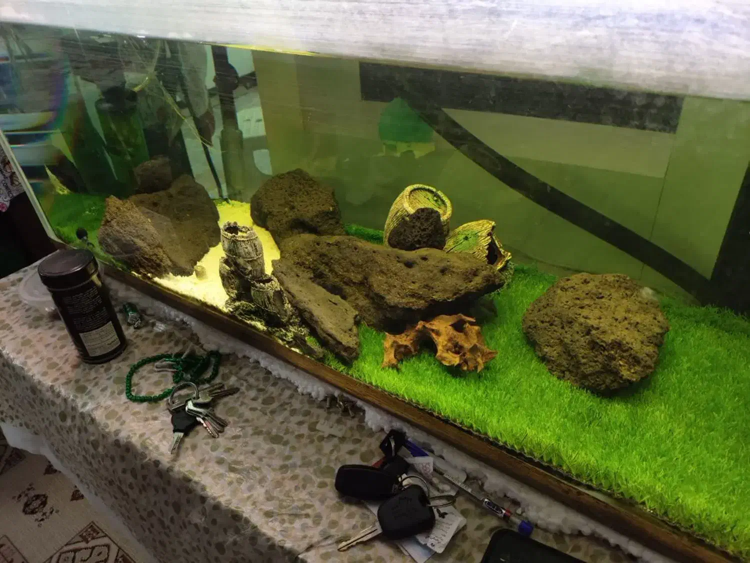 شیشه ی آکواریوم|ماهی|اصفهان, ارغوانیه|دیوار