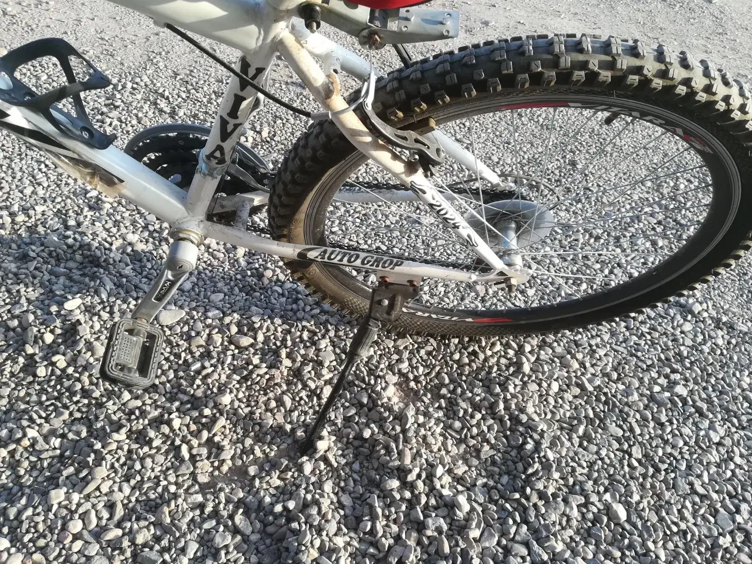 دوچرخه کوهستان سفید ۲۴|دوچرخه، اسکیت، اسکوتر|بم, |دیوار