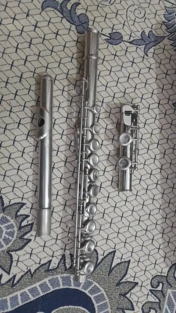 فروشی|سازهای بادی|بومهن, |دیوار