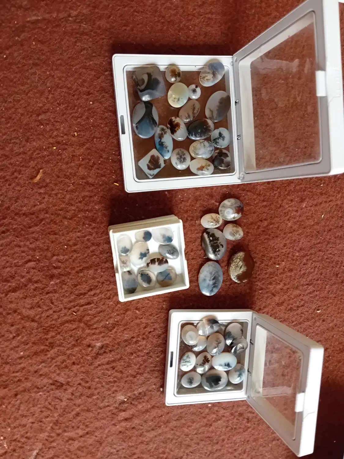 سنگ شجر|کلکسیون اشیاء عتیقه|رباط‌کریم, نصیرشهر|دیوار