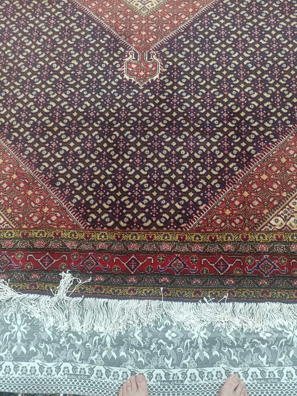 فرش دستبافت ریزه ماهی‌،فرش سورمه ای،میسی|فرش|اردبیل, |دیوار