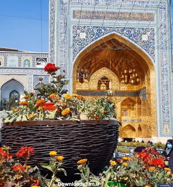 رفسنجان به مشهد|تور و چارتر|رفسنجان, |دیوار