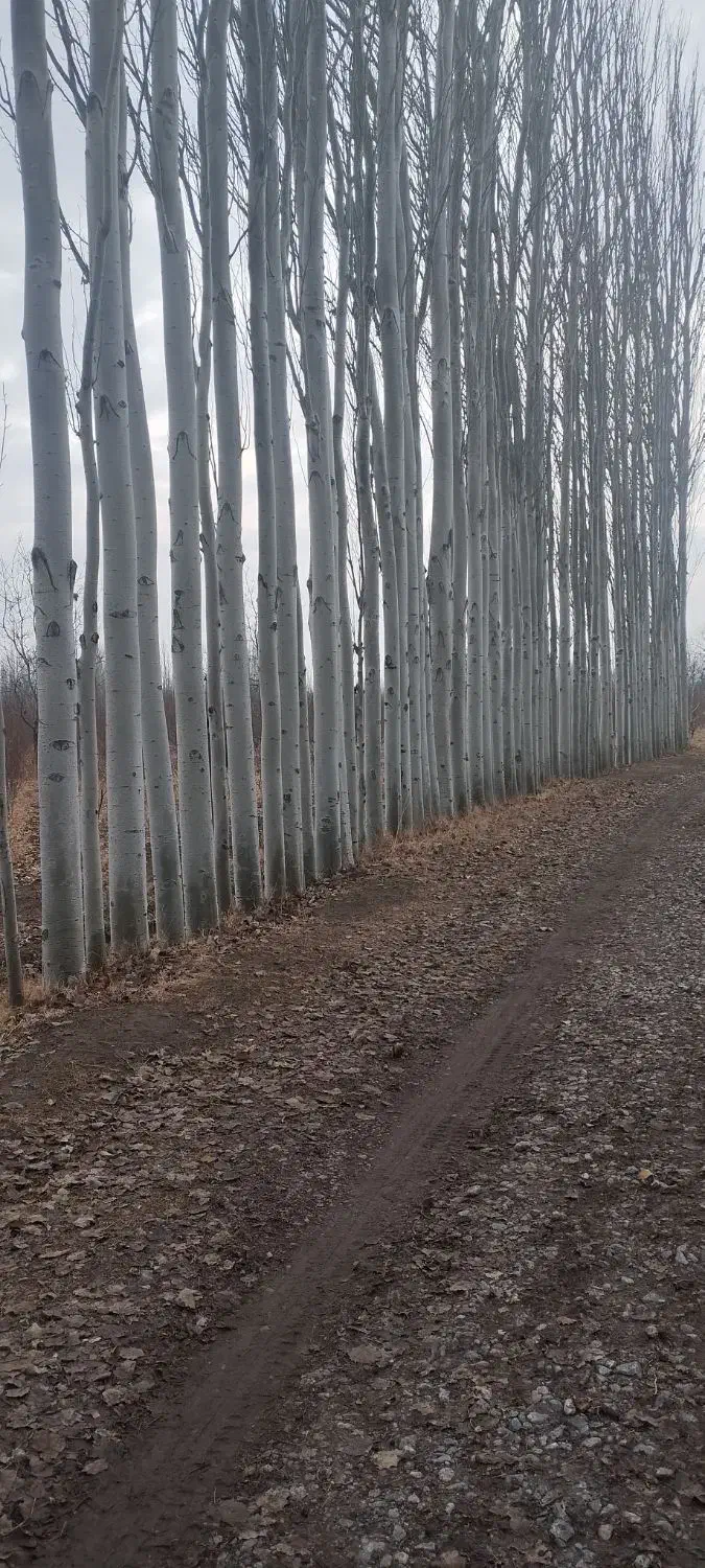 ادمیننهالفروشی|استخدام بازاریابی و فروش|میاندوآب, |دیوار