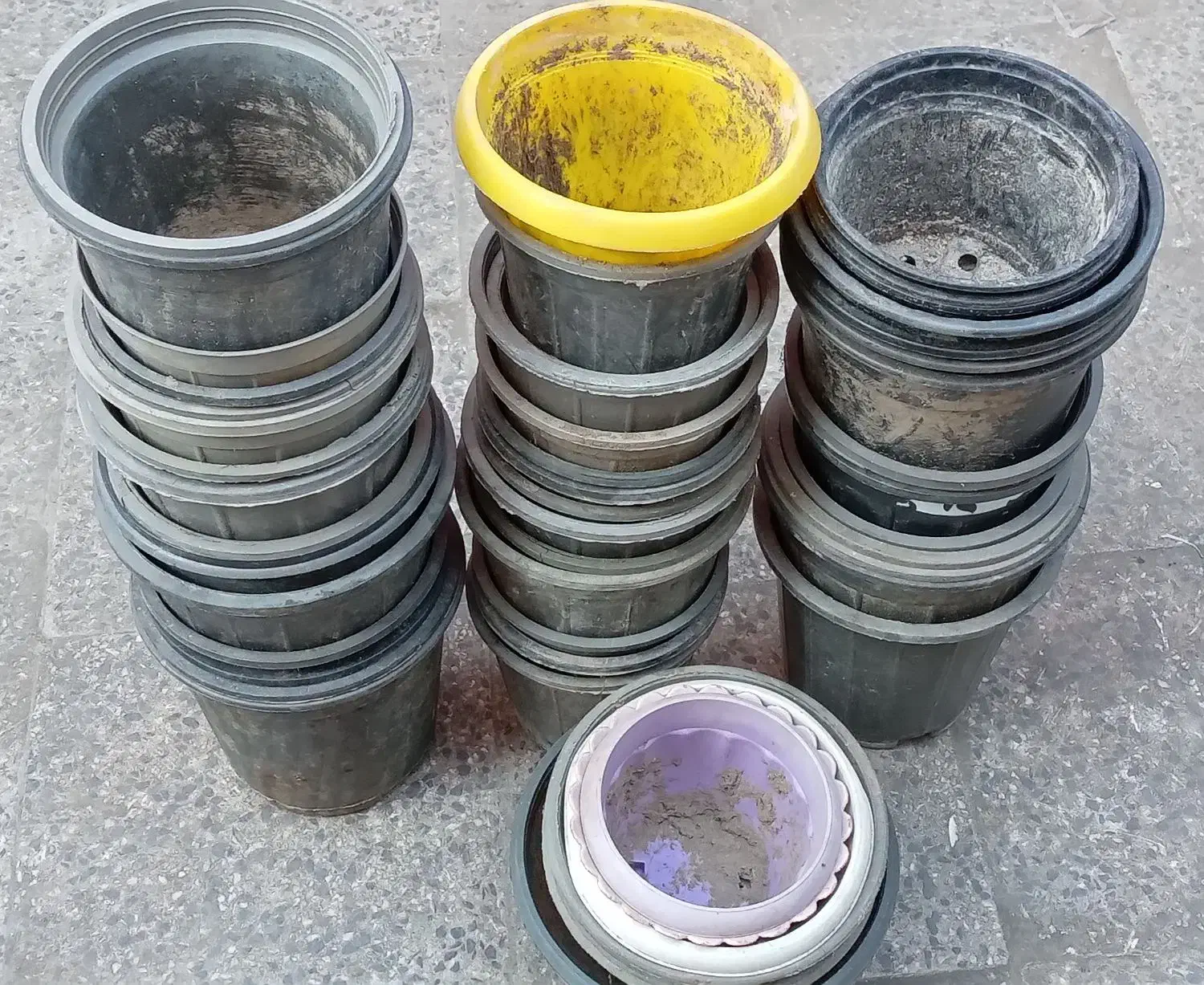 تعدادی گلدان کارکرده سالم|گل و گیاه طبیعی|رودسر, |دیوار