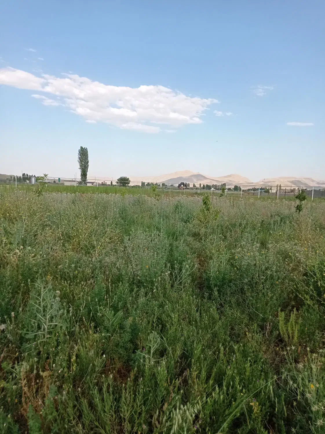 باغ در گجوت|فروش زمین و ملک کلنگی|ماکو, |دیوار