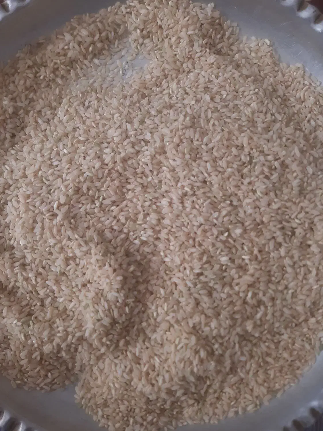 برنج چمپا کیلو ۲۶۰|خوردنی و آشامیدنی|یاسوج, |دیوار