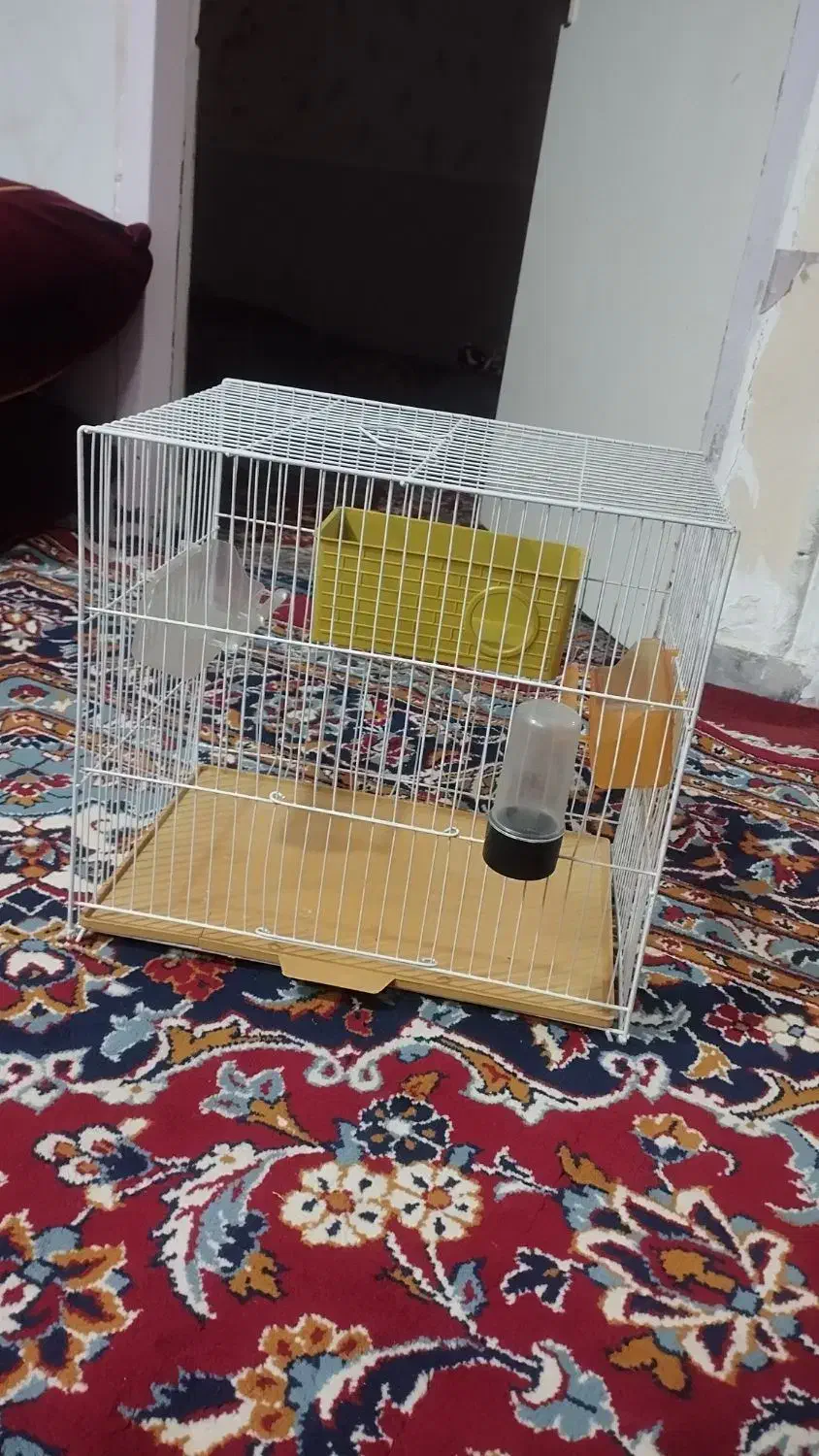 قفس پرنده|لوازم جانبی حیوانات|مشهد, ایثارگران|دیوار