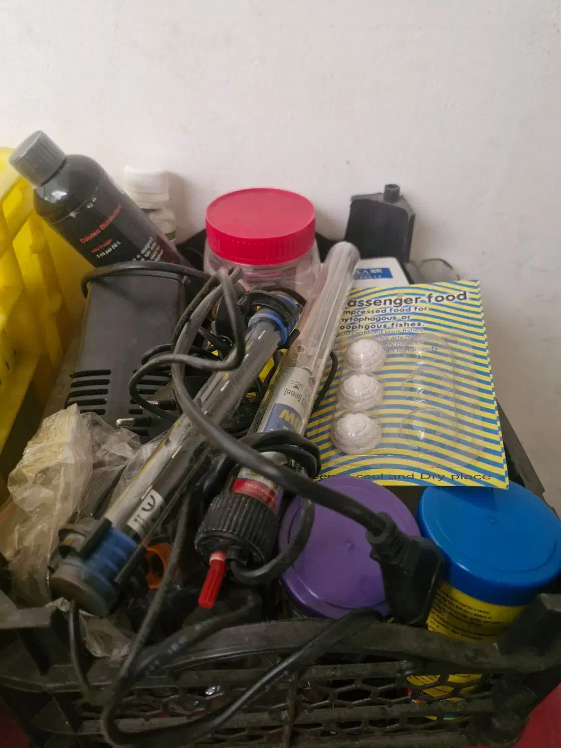 آکواریوم ماهی|ماهی|پاکدشت, پاکدشت (مامازند)|دیوار