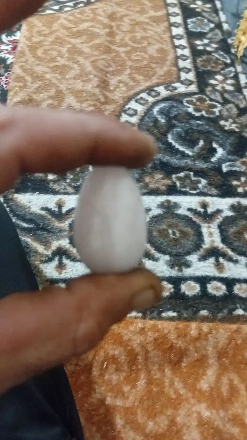 این سنگ|جواهرات|خوی, |دیوار